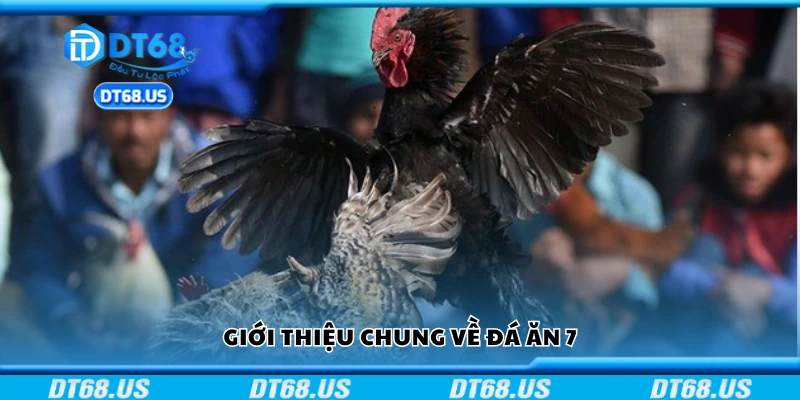 Khái quát chung về đá ăn 7