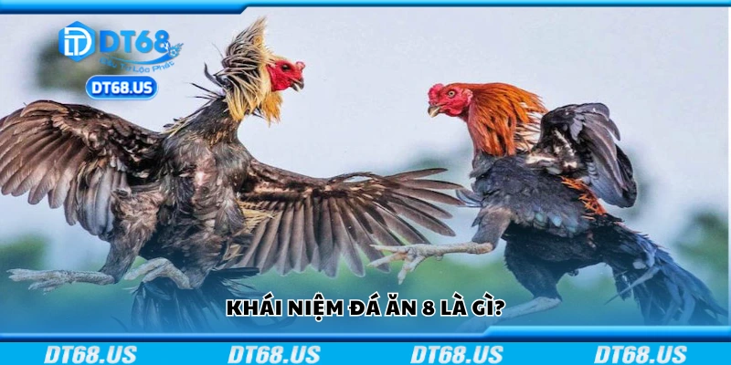 Khái niệm đá ăn 8