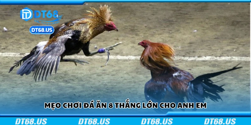 Top mẹo chơi đá ăn 8 thắng lớn cho anh em