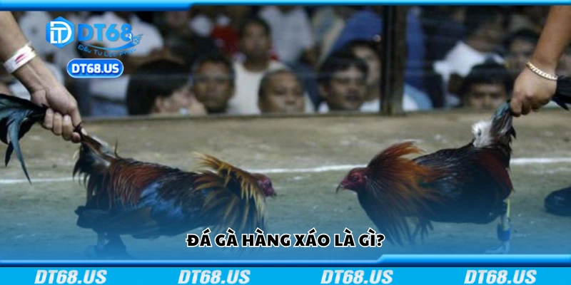 Tìm hiểu đá gà hàng xáo là gì?