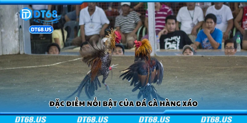 Một số đặc điểm nổi bật của đá gà hàng xáo