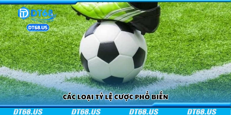 Một số loại tỷ lệ cược phổ biến