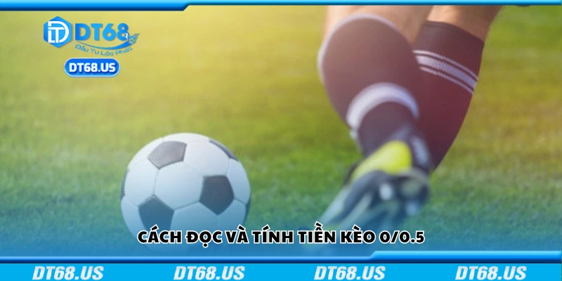Hướng dẫn đọc và tính tiền kèo 0/0.5
