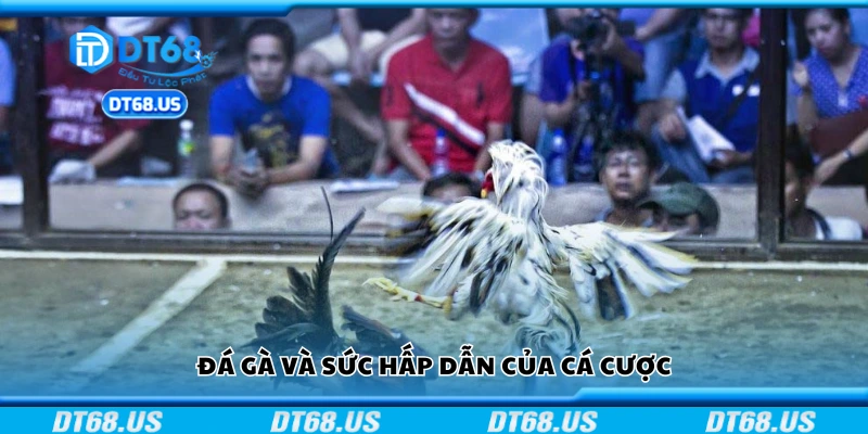 Giới thiệu sơ lược về đá gà
