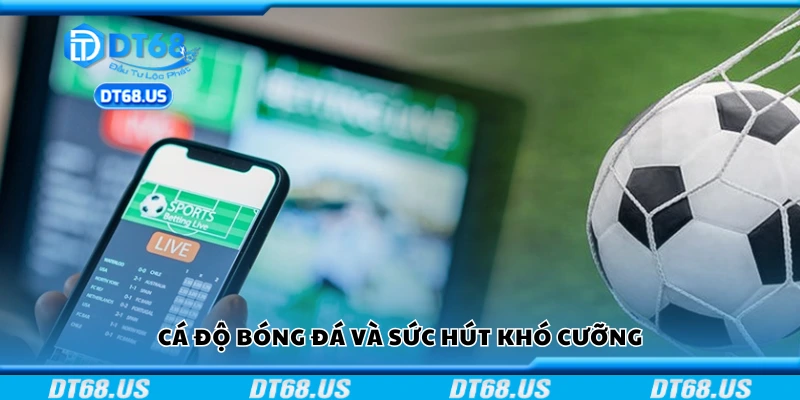Cá độ bóng đá và sức hút khó cưỡng