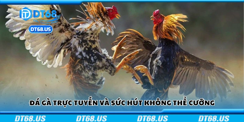Giới thiệu về đá gà trực tuyến