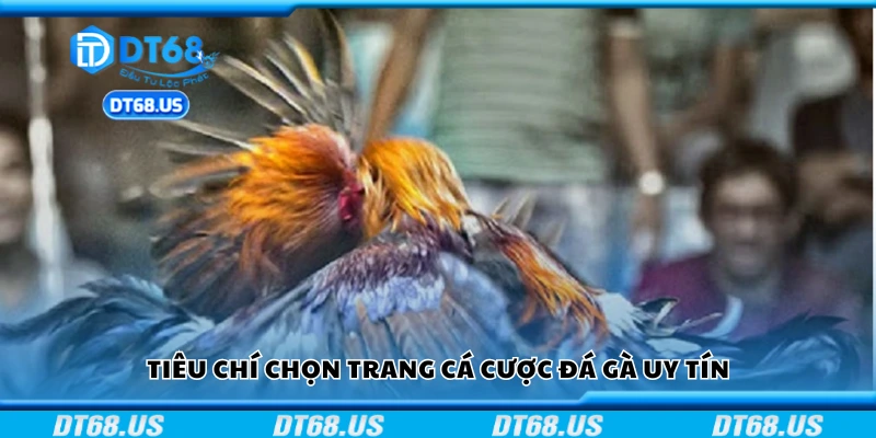 Top trang cá cược đá gà uy tín đáng thử