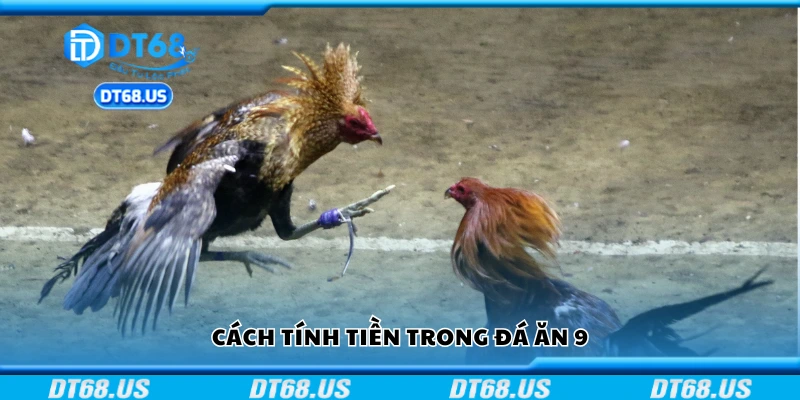 Hướng dẫn tính tiền trong đá ăn 9