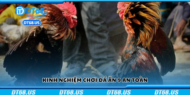 Một số kinh nghiệm chơi đá ăn 9 an toàn